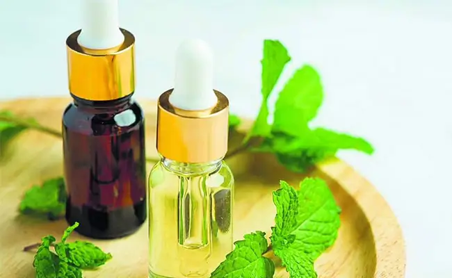 Essential Oil Refinement
