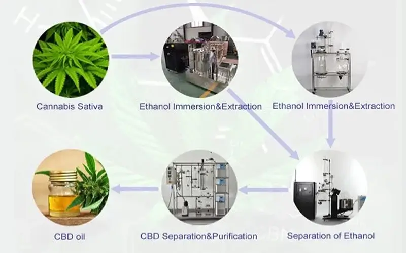 various industries benefiting from molecular distillation